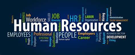 The Human Resources Cast The Backbone of Organizational Success