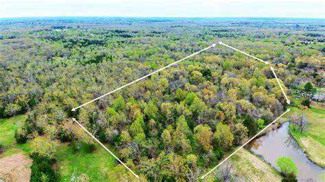 Exploring Possibilities Recreational Land for Sale