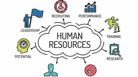 Elevating HR Support The Role of a Remote Human Resources Assistant
